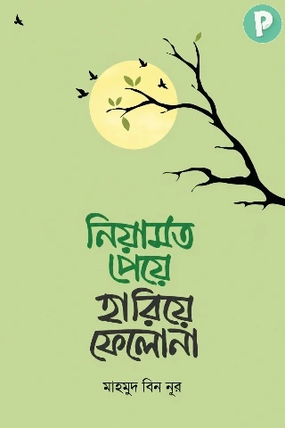 নিয়ামত পেয়ে হারিয়ে ফেলো না বই PDF | মাহমুদ বিন নূর