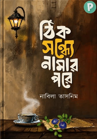 ঠিক সন্ধ্যে নামার পরে বই পিডিএফ — রিভিউ | নাবিলা তাসনিম